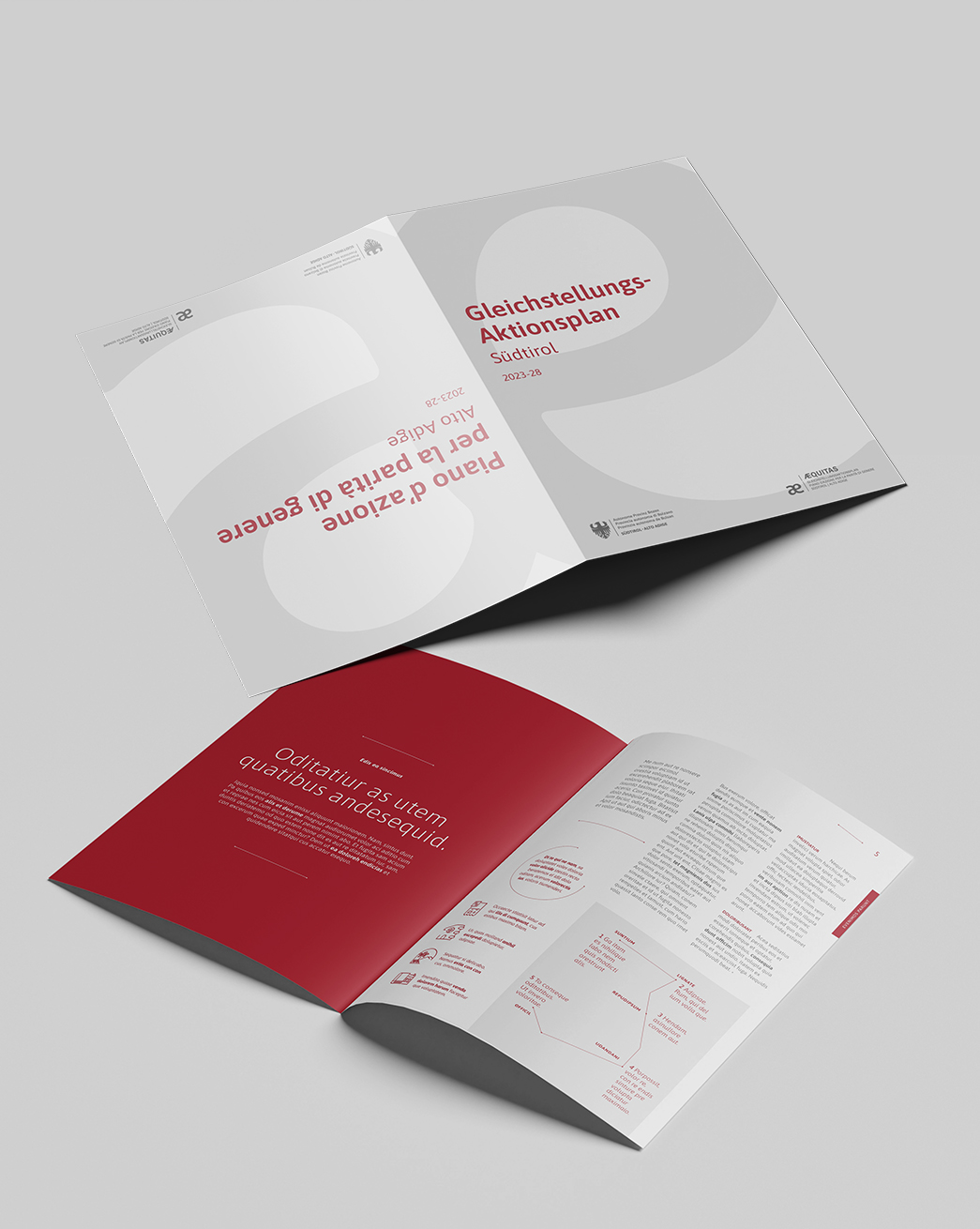 LA PROVINCIA-Corporate-Design-Bilingue-04