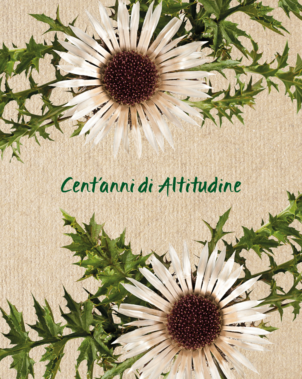 MONTI-TRENTINI-case-history-immagine 07