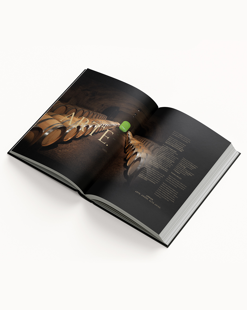 SME-Interno-Tabloid--15