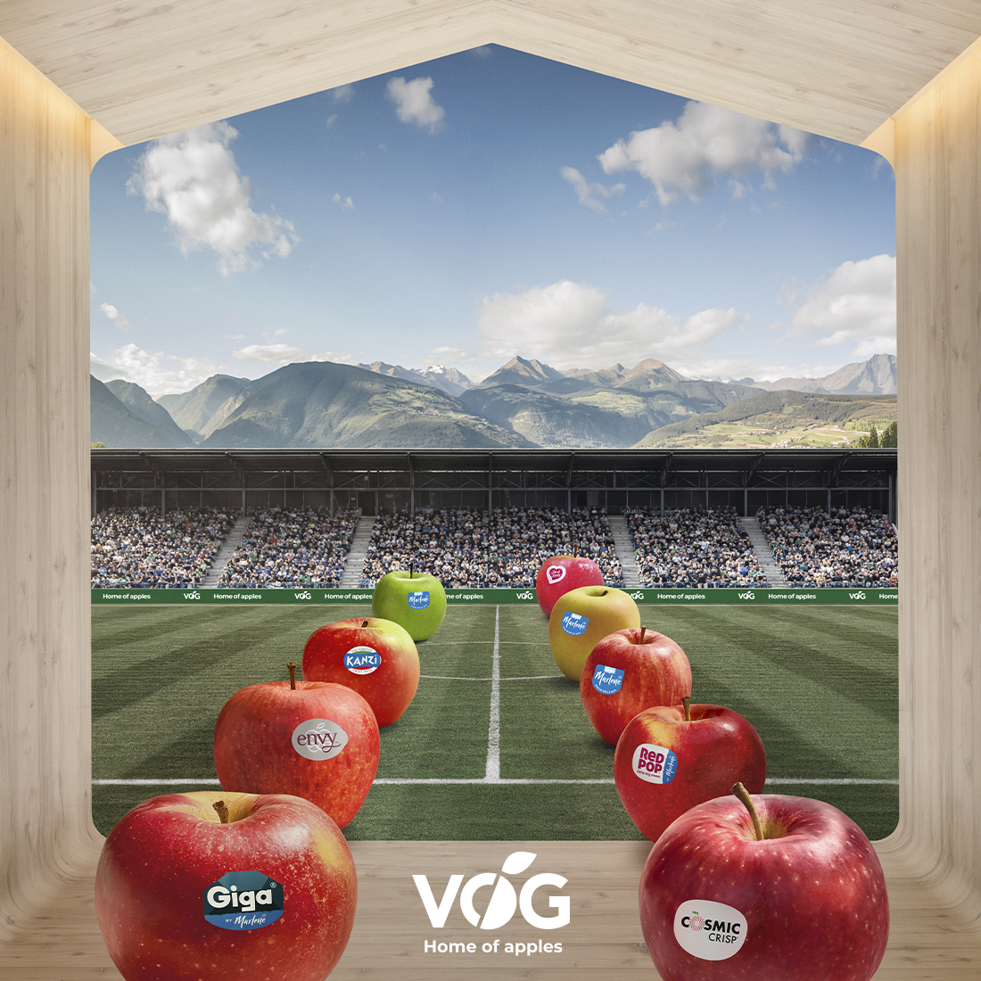 VOG-At-Home-on-the-field-Cover