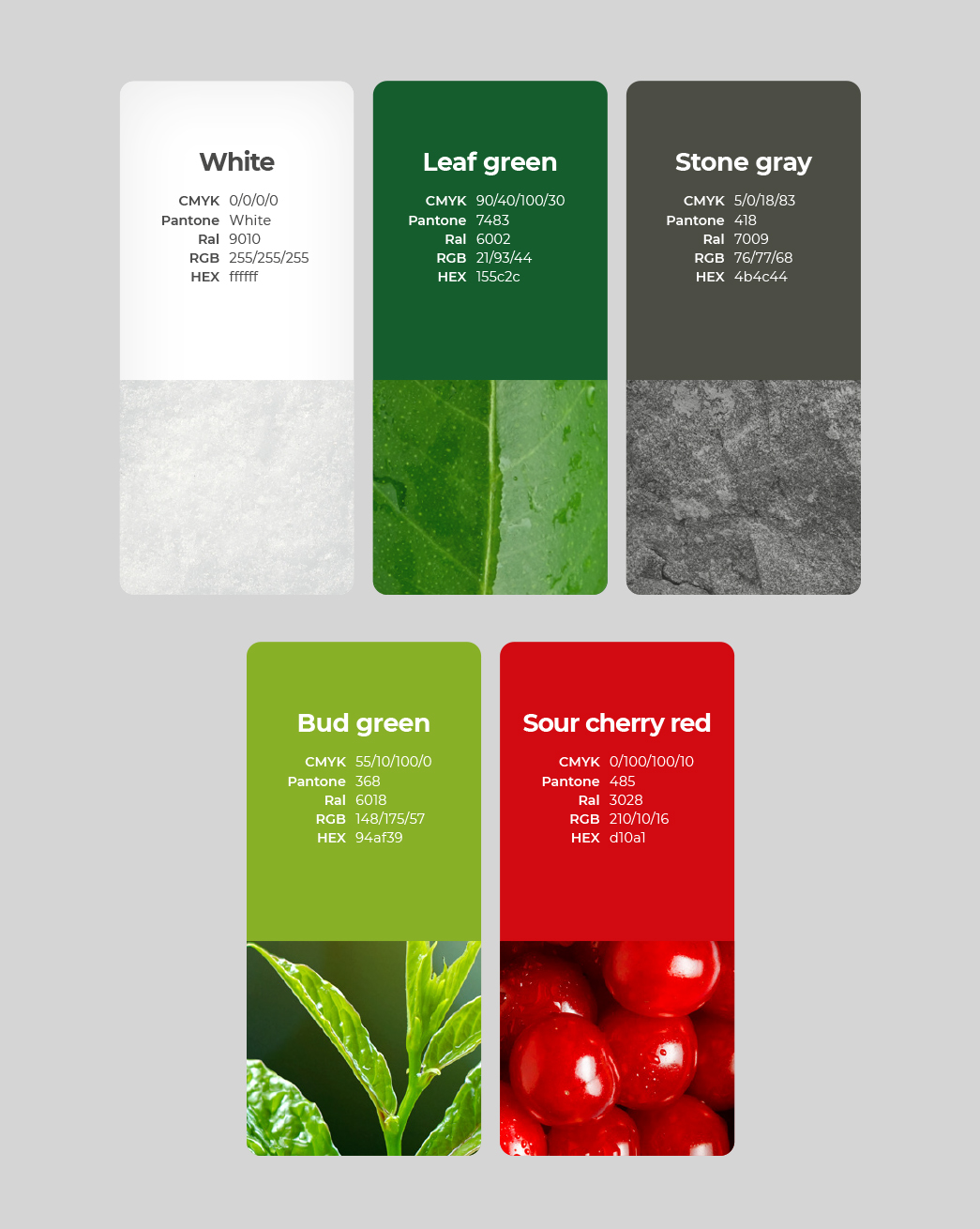 VOG-Home-of-Apple-Color-Palette-11