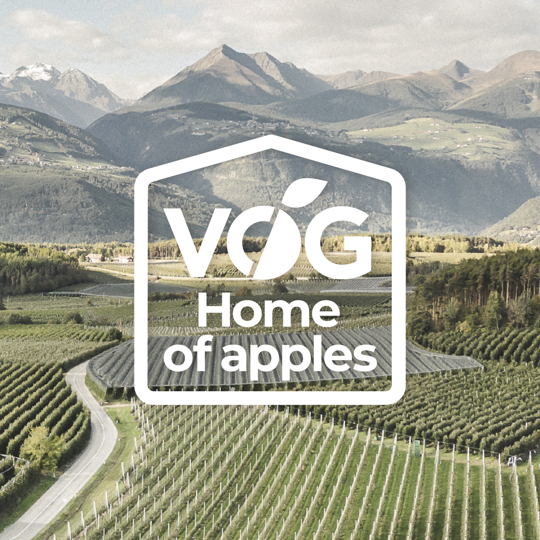 VOG-Home-of-Apple-Cover