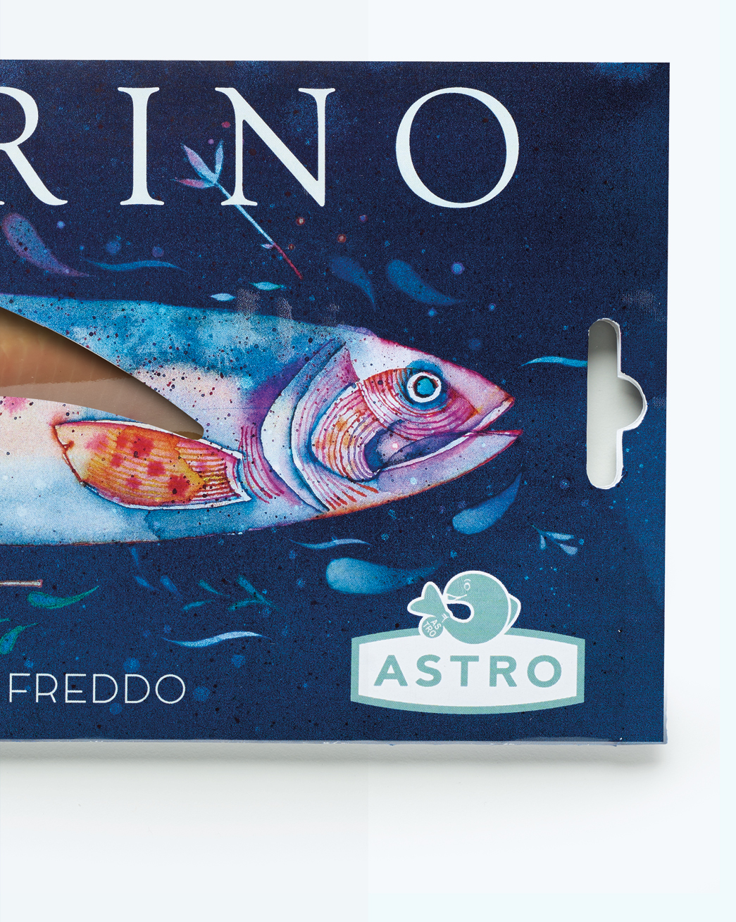 Astro-packaging-4-frontier
