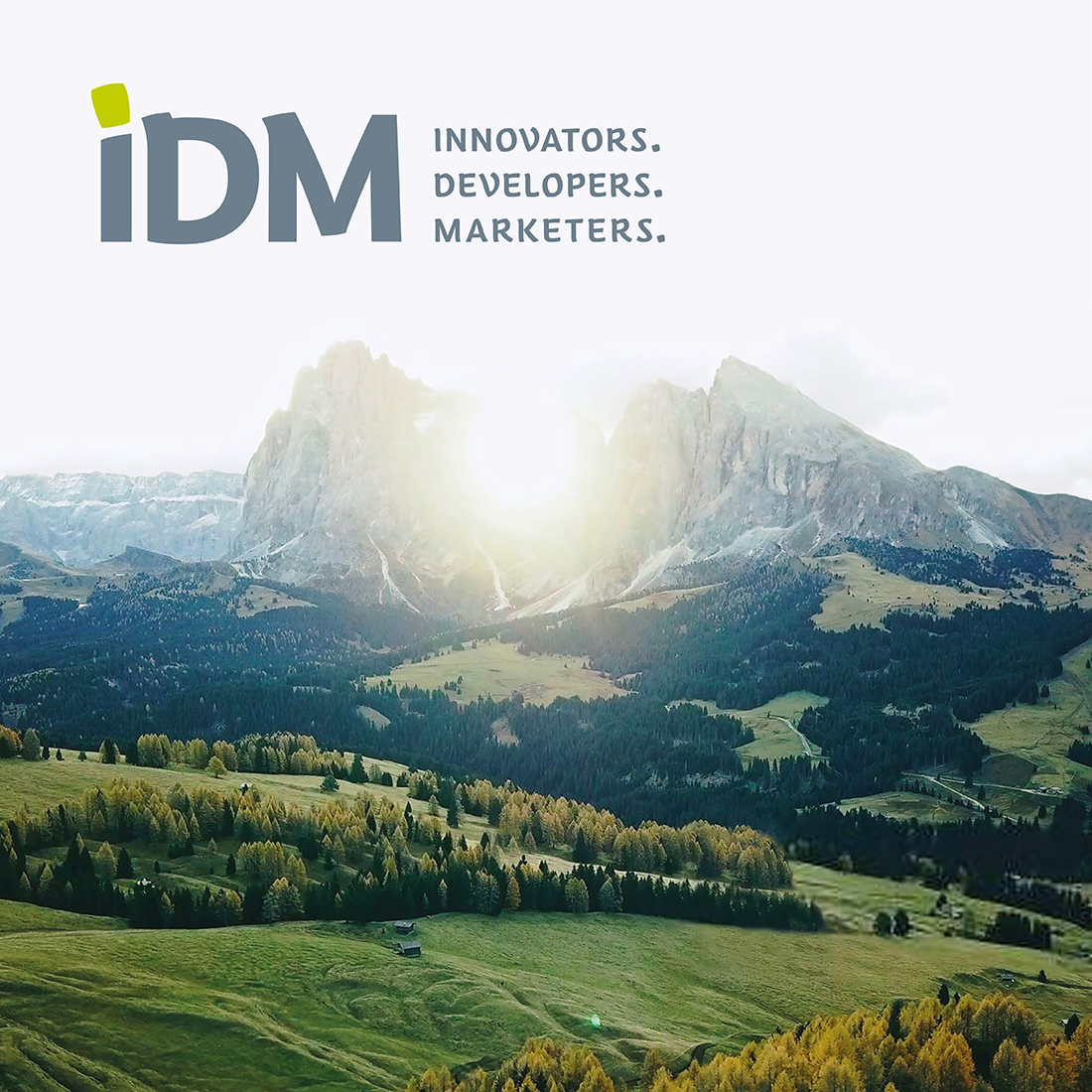 IDM-Raccolta-base